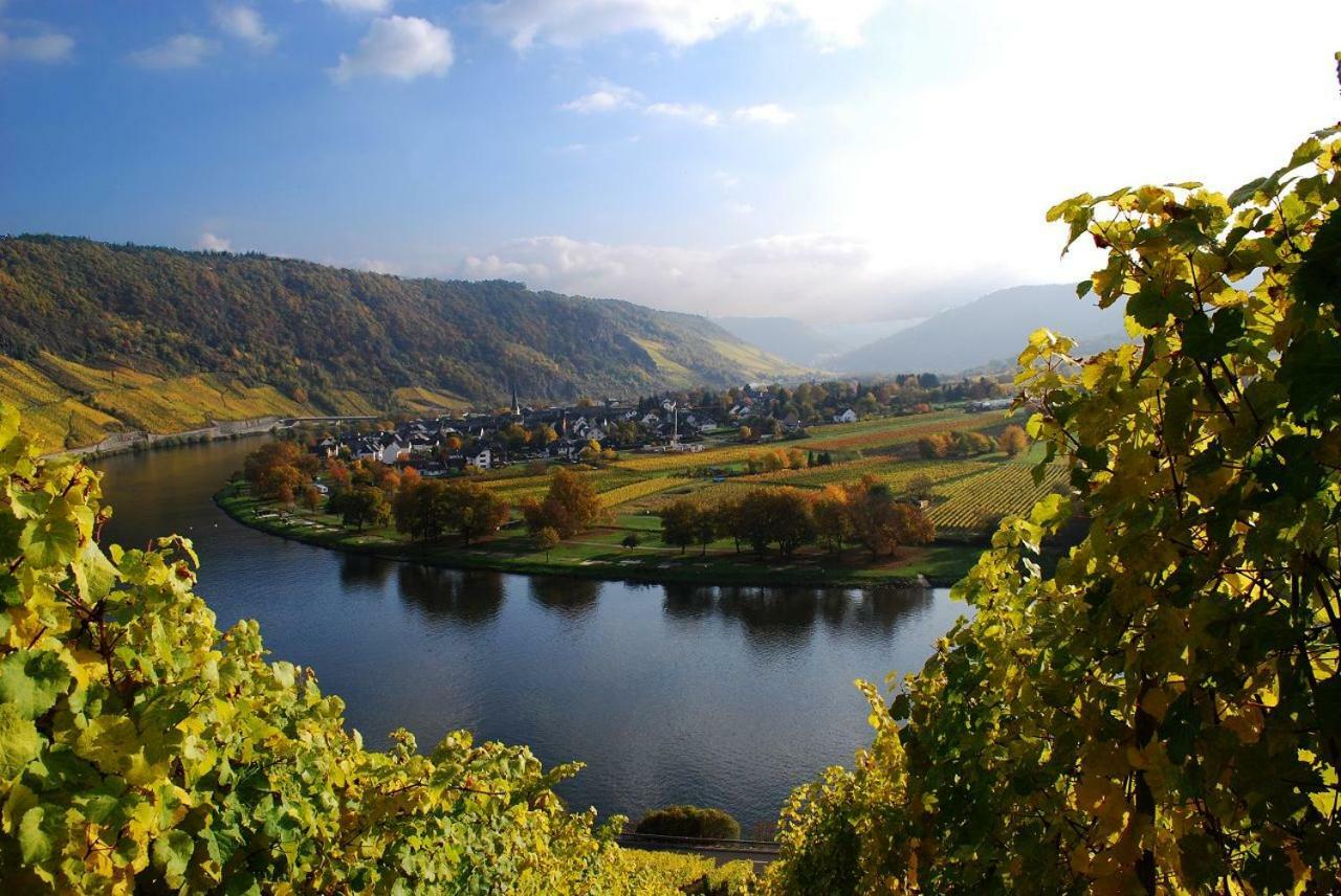 York Cottage Traben-Trarbach Dış mekan fotoğraf